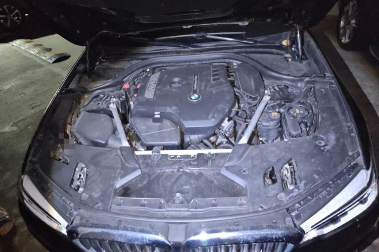 Used BMW 5 Series 2020 530Li Leading Edition Luxury Package Engine Bay