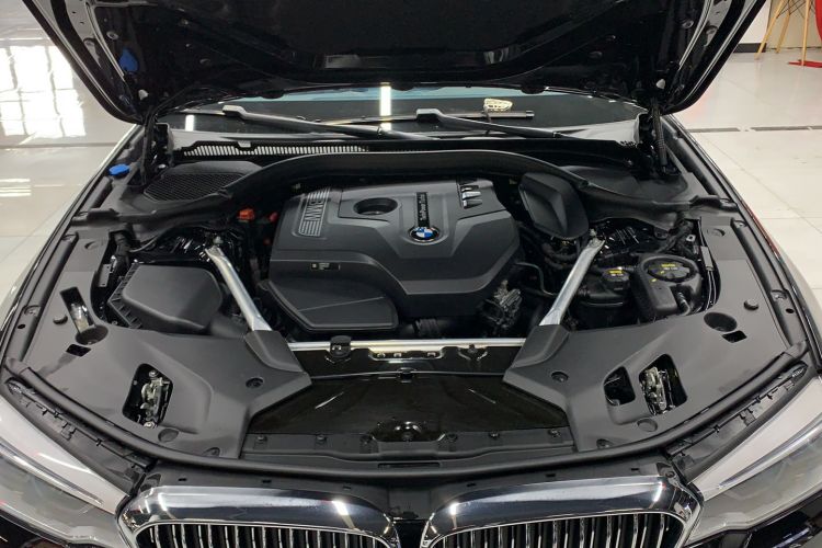 Used BMW 5 Series 2020 530Li xDrive Luxury Package Engine Bay