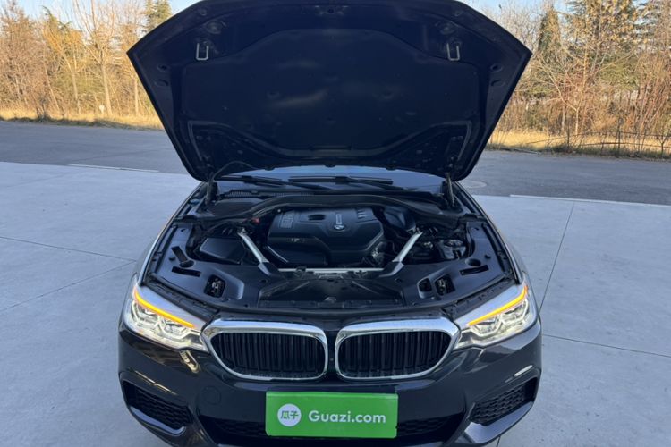 Used BMW 5 Series 2020 530Li Luxury Edition M Sport Package Engine Bay