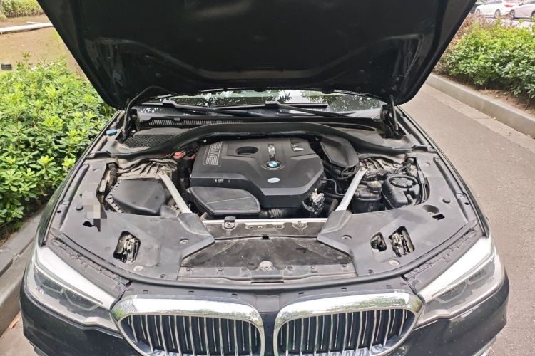 Used BMW 5 Series 2020 530Li Leading Edition Luxury Package Engine Bay