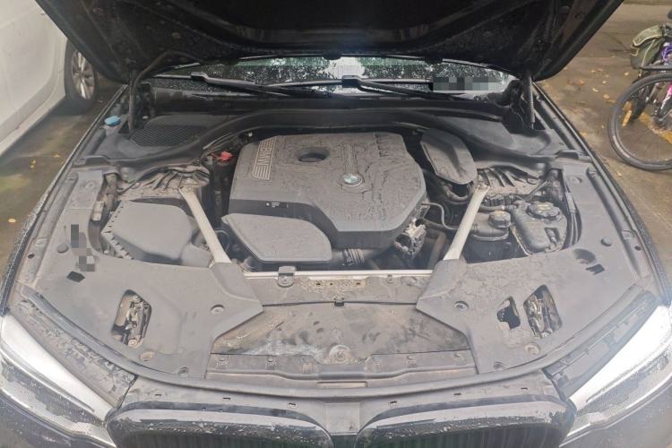 Used BMW 5 Series 2020 530Li Leading Model M Sport Package Engine Bay