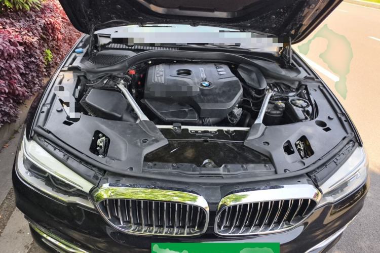 Used BMW 5 Series 2020 530Li Leading Edition Luxury Package Engine Bay