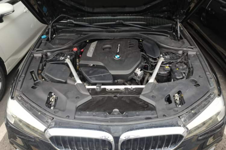 Used BMW 5 Series 2020 525Li M Sport Package Engine Bay