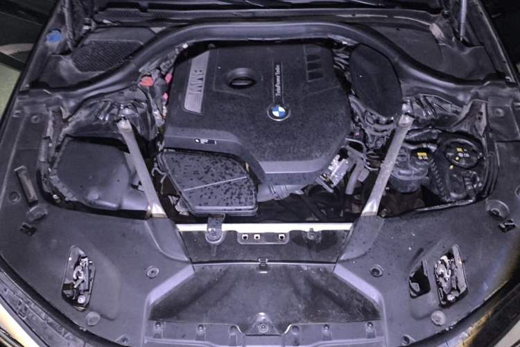 Used BMW 5 Series 2020 530Li Leading Model M Sport Package Engine Bay