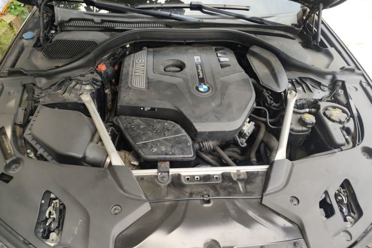 Used BMW 5 Series 2020 530Li Luxury Edition M Sport Package Engine Bay
