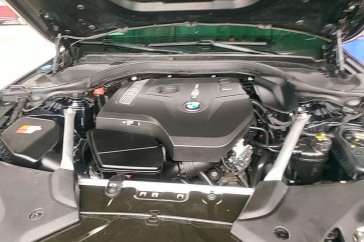 Used BMW 5 Series 2020 530Li Leading Model M Sport Package Engine Bay