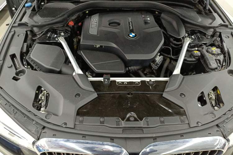 Used BMW 5 Series 2020 530Li Leading Edition Luxury Package Engine Bay