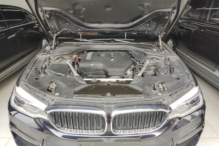 Used BMW 5 Series 2020 530Li Leading Model M Sport Package Engine Bay