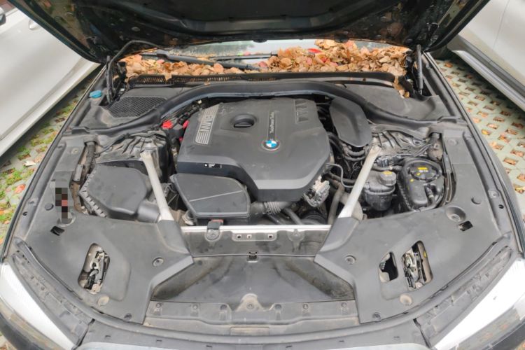 Used BMW 5 Series 2020 525Li M Sport Package Engine Bay