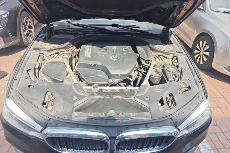 Used BMW 5 Series 2020 530Li Leading Model M Sport Package Engine Bay