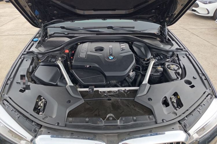 Used BMW 5 Series 2020 530Li Leading Edition Luxury Package Engine Bay