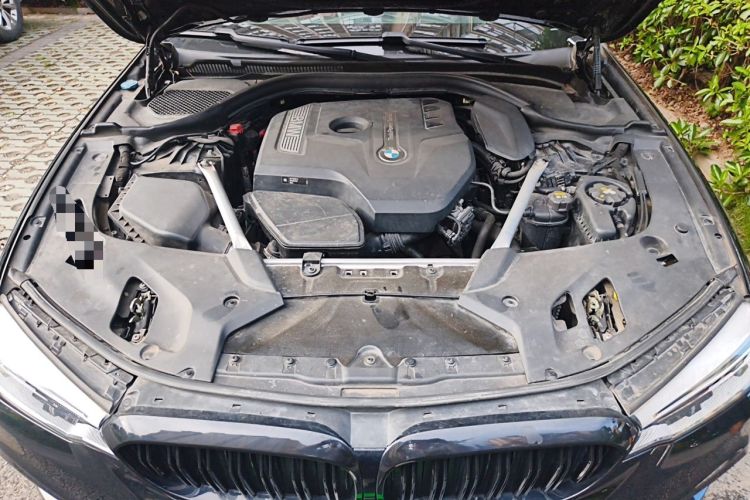 Used BMW 5 Series 2020 530Li Leading Model M Sport Package Engine Bay