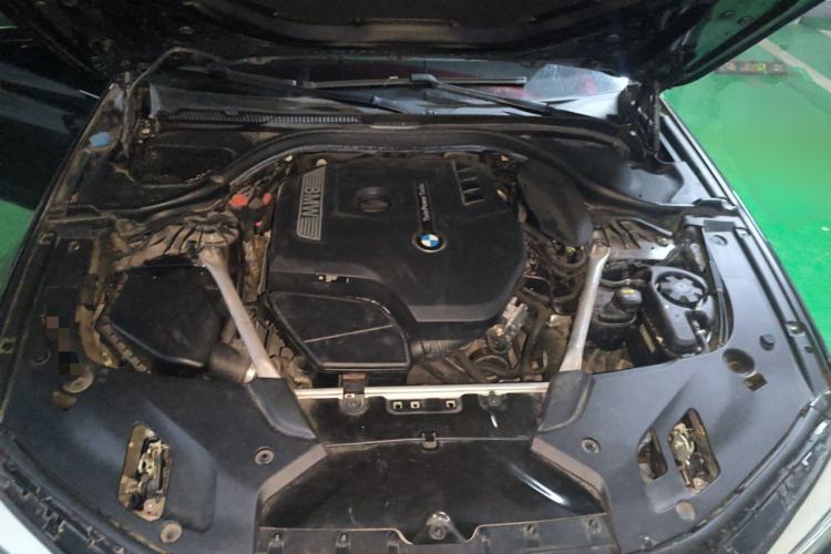 Used BMW 5 Series 2020 530Li Luxury Edition M Sport Package Engine Bay