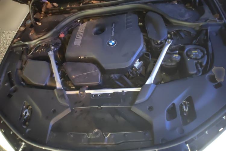 Used BMW 5 Series 2020 530Li Luxury Edition M Sport Package Engine Bay