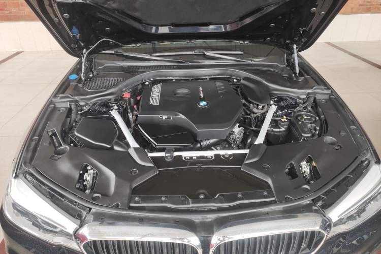 Used BMW 5 Series 2020 530Li Luxury Edition M Sport Package Engine Bay