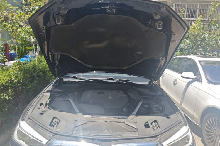 Used BMW 5 Series 2020 530Li Luxury Edition M Sport Package Engine Bay
