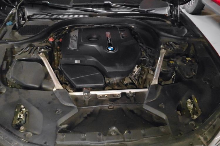 Used BMW 5 Series 2020 530Li Leading Model M Sport Package Engine Bay