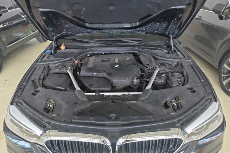 Used BMW 5 Series 2020 530Li Leading Model M Sport Package Engine Bay