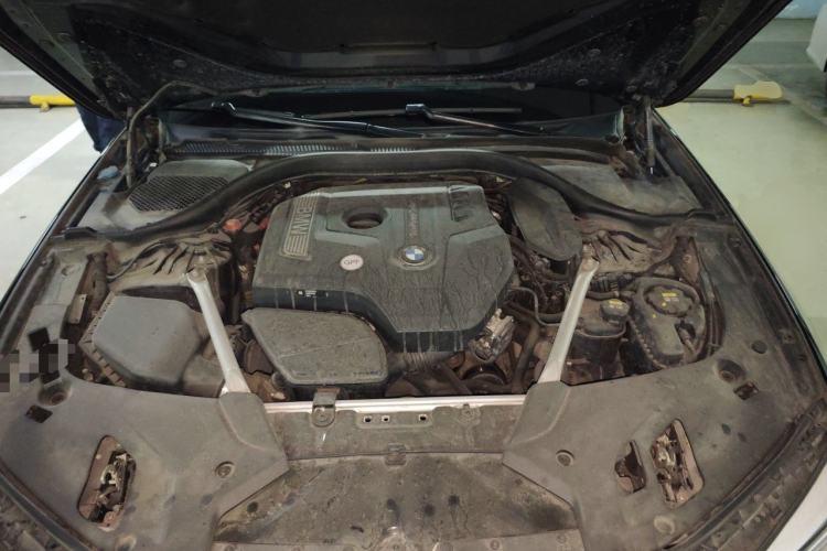Used BMW 5 Series 2020 530Li xDrive M Sport Package Engine Bay