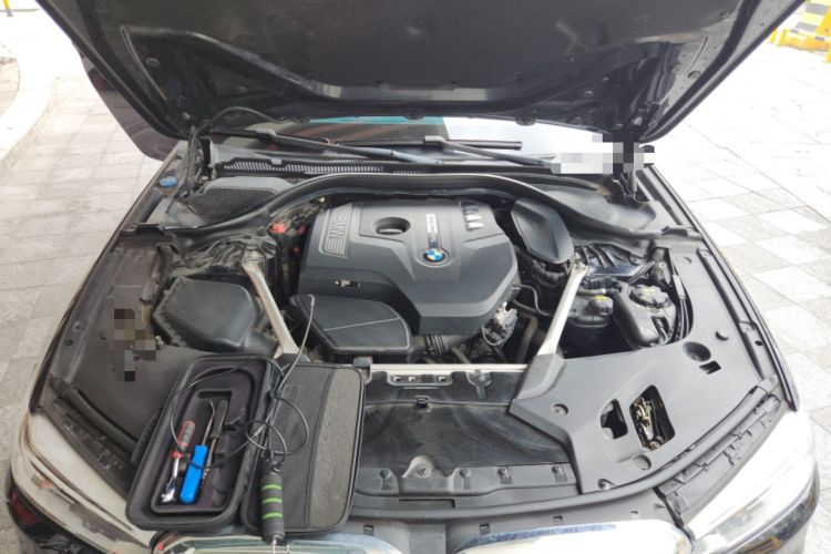 Used BMW 5 Series 2020 530Li Luxury Edition M Sport Package Engine Bay