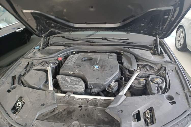 Used BMW 5 Series 2020 530Li Luxury Edition M Sport Package Engine Bay
