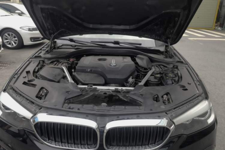 Used BMW 5 Series 2020 525Li M Sport Package Engine Bay