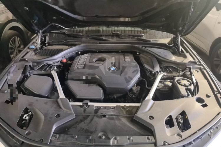Used BMW 5 Series 2020 530Li Luxury Edition M Sport Package Engine Bay