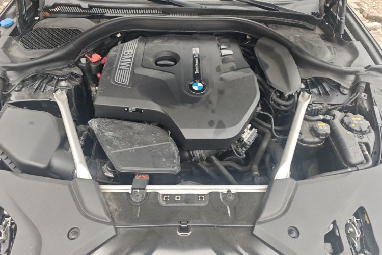 Used BMW 5 Series 2020 530Li Luxury Edition M Sport Package Engine Bay