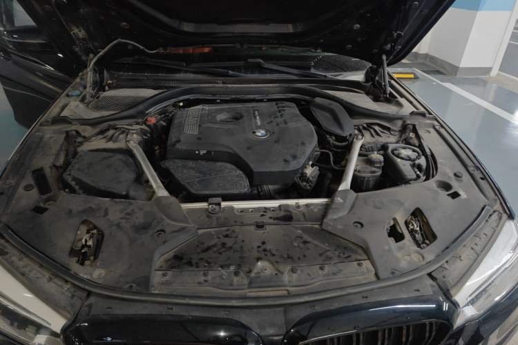 Used BMW 5 Series 2020 530Li Luxury Edition M Sport Package Engine Bay