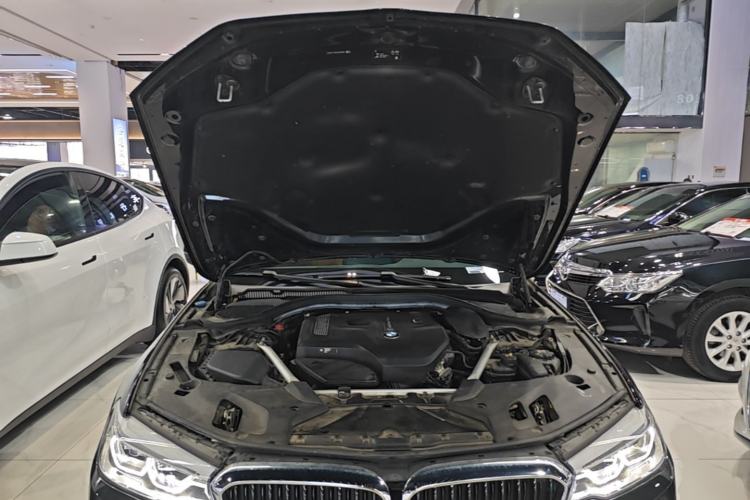 Used BMW 5 Series 2020 530Li xDrive M Sport Package Engine Bay