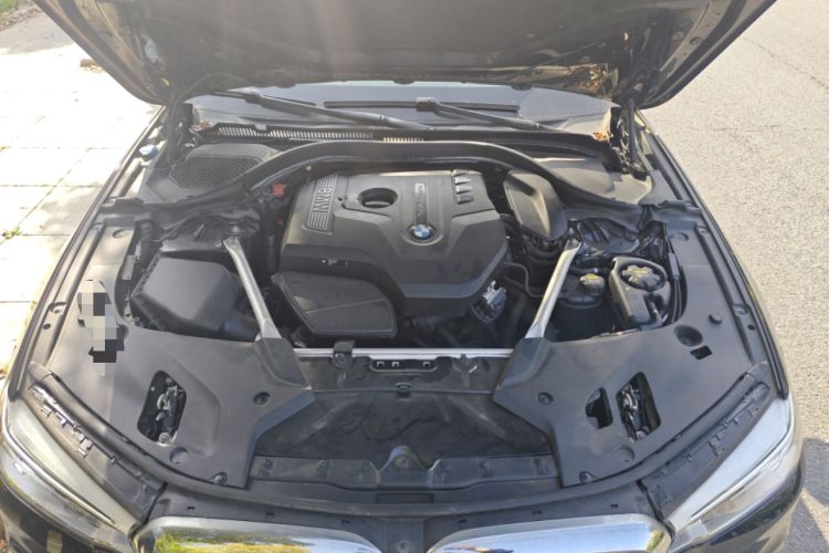 Used BMW 5 Series 2020 530Li Leading Model M Sport Package Engine Bay