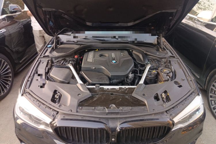 Used BMW 5 Series 2020 530Li Luxury Edition M Sport Package Engine Bay
