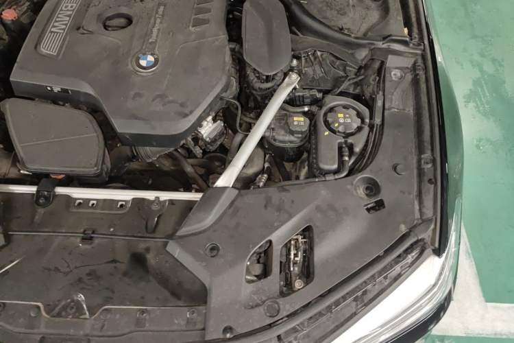 Used BMW 5 Series 2020 530Li Luxury Edition M Sport Package Engine Bay Left