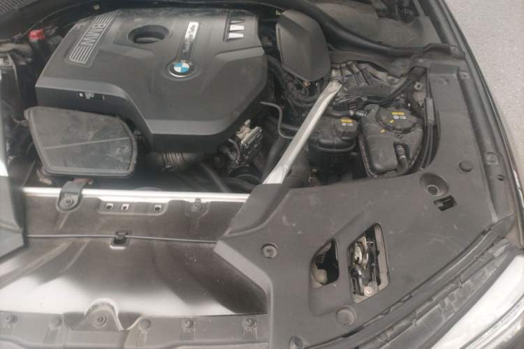 Used BMW 5 Series 2020 530Li Luxury Edition Premium Package Engine Bay Left