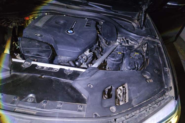 Used BMW 5 Series 2020 530Li Luxury Edition M Sport Package Engine Bay Left