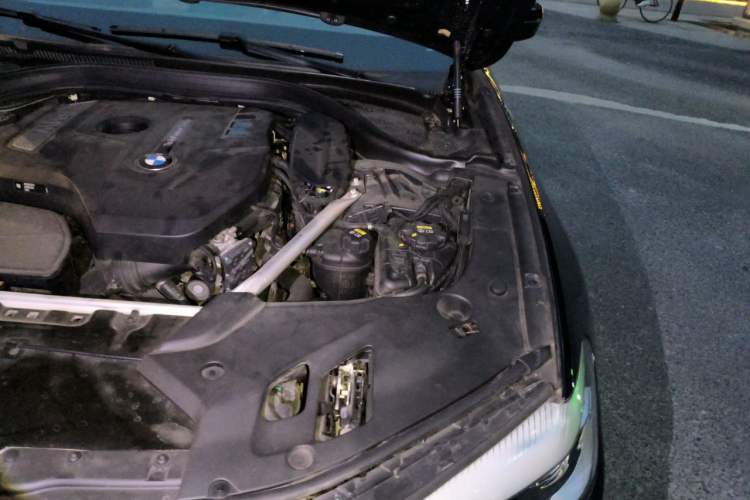 Used BMW 5 Series 2020 525Li M Sport Package Engine Bay Left