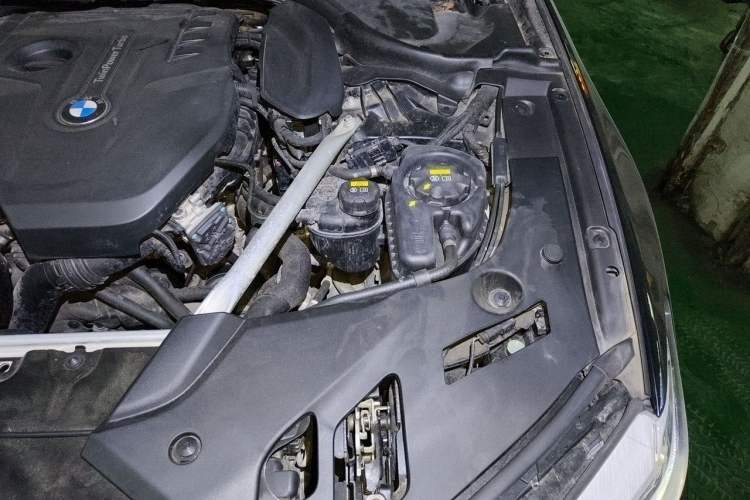 Used BMW 5 Series 2020 530Li Leading Edition Luxury Package Engine Bay Left