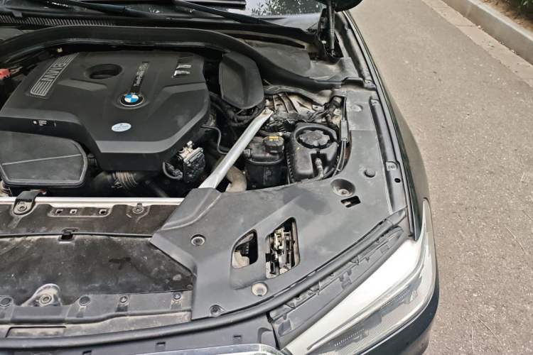 Used BMW 5 Series 2020 530Li Leading Edition Luxury Package Engine Bay Left