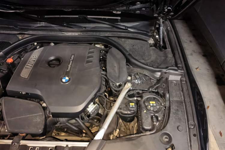 Used BMW 5 Series 2020 530Li Luxury Edition M Sport Package Engine Bay Left