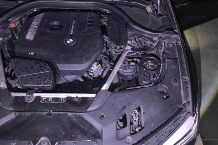 Used BMW 5 Series 2020 530Li Leading Model M Sport Package Engine Bay Left