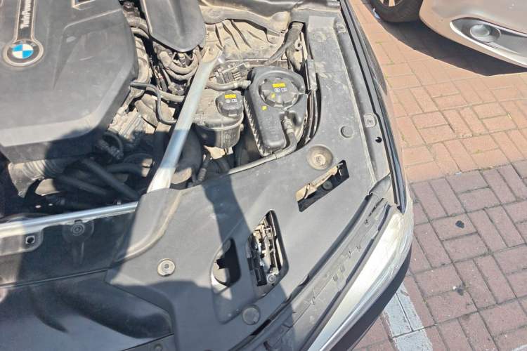 Used BMW 5 Series 2020 530Li Leading Model M Sport Package Engine Bay Left
