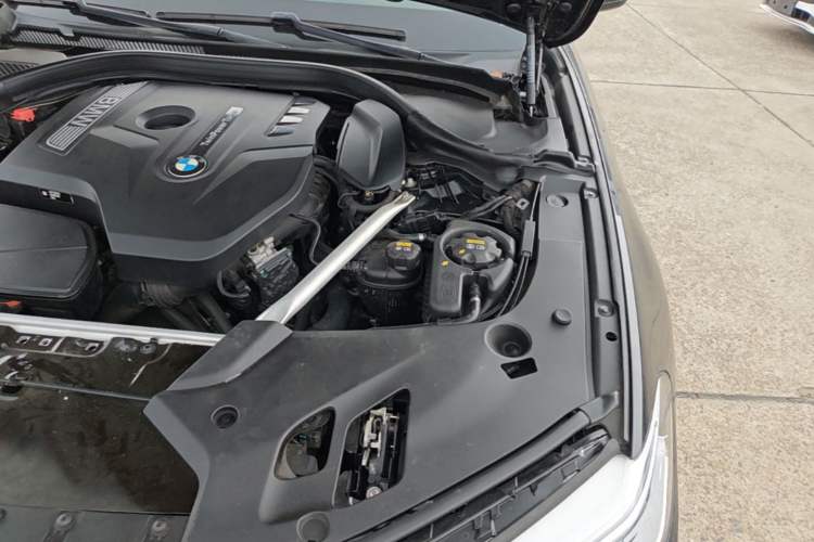 Used BMW 5 Series 2020 530Li Leading Edition Luxury Package Engine Bay Left