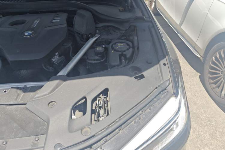 Used BMW 5 Series 2020 530Li Luxury Edition M Sport Package Engine Bay Left