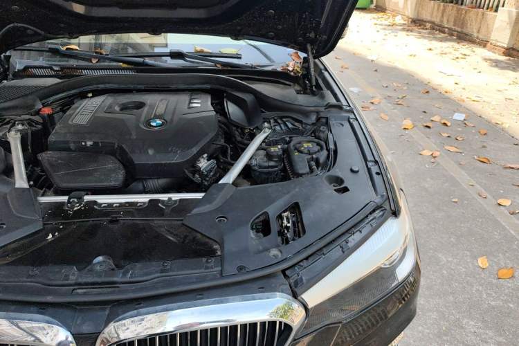 Used BMW 5 Series 2020 525Li Luxury Package Engine Bay Left