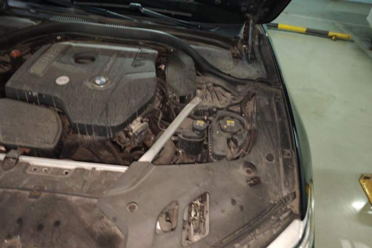 Used BMW 5 Series 2020 530Li xDrive M Sport Package Engine Bay Left
