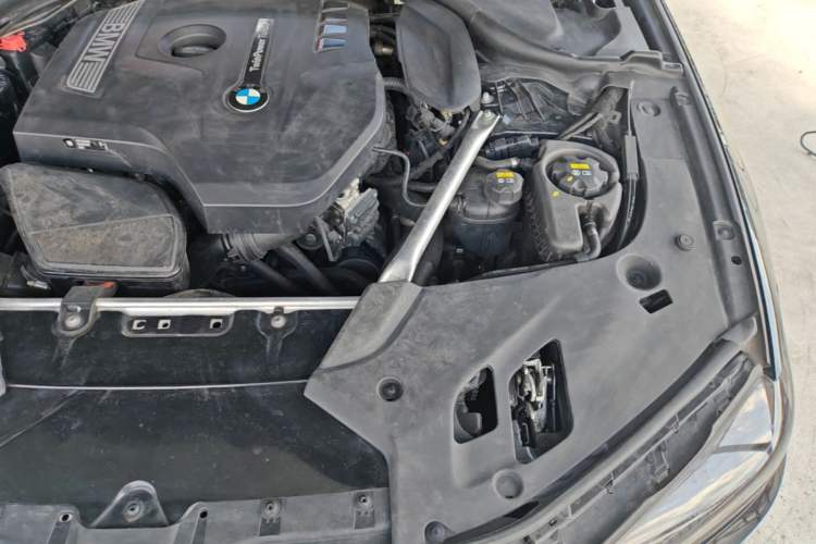 Used BMW 5 Series 2020 530Li Luxury Edition M Sport Package Engine Bay Left