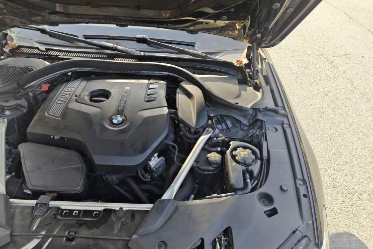 Used BMW 5 Series 2020 530Li Leading Model M Sport Package Engine Bay Left