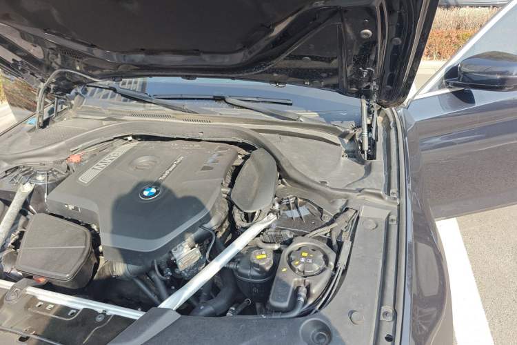 Used BMW 5 Series 2020 530Li Leading Model M Sport Package Engine Bay Left