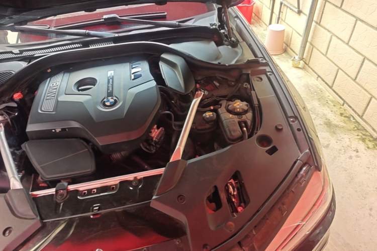 Used BMW 5 Series 2020 530Li Leading Model M Sport Package Engine Bay Left