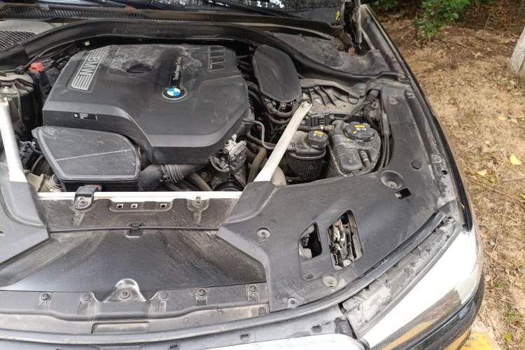 Used BMW 5 Series 2020 525Li Luxury Package Engine Bay Left